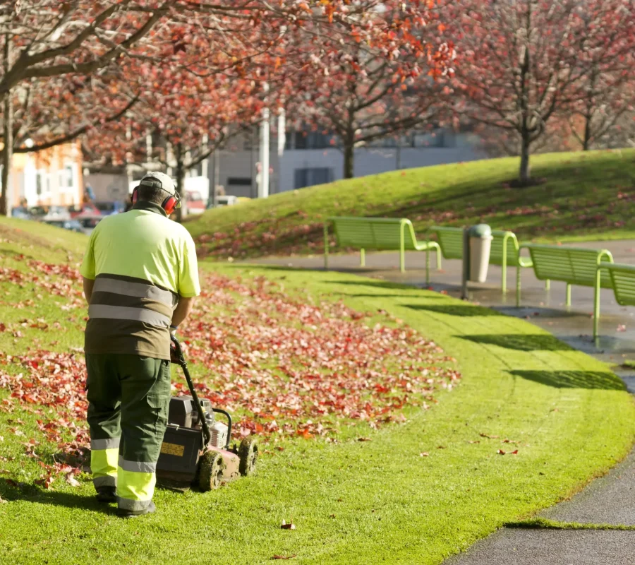 Entretien d’espaces verts dans les Yvelines pour entreprises et collectivités