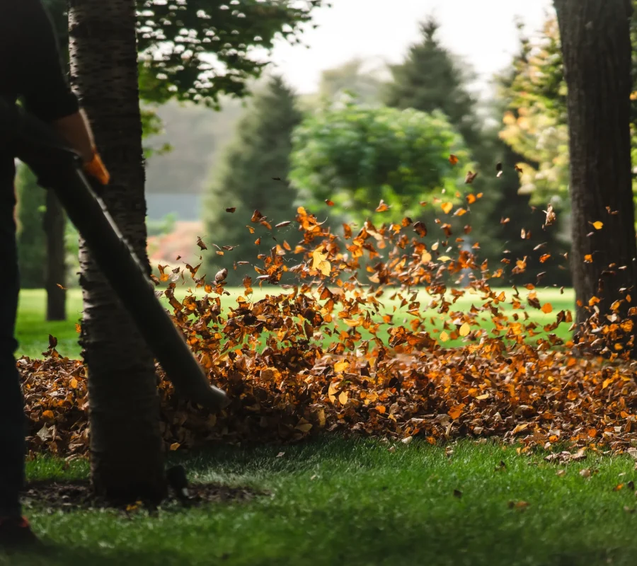 Entretien de jardin dans les Yvelines – tonte, désherbage et soins des végétaux